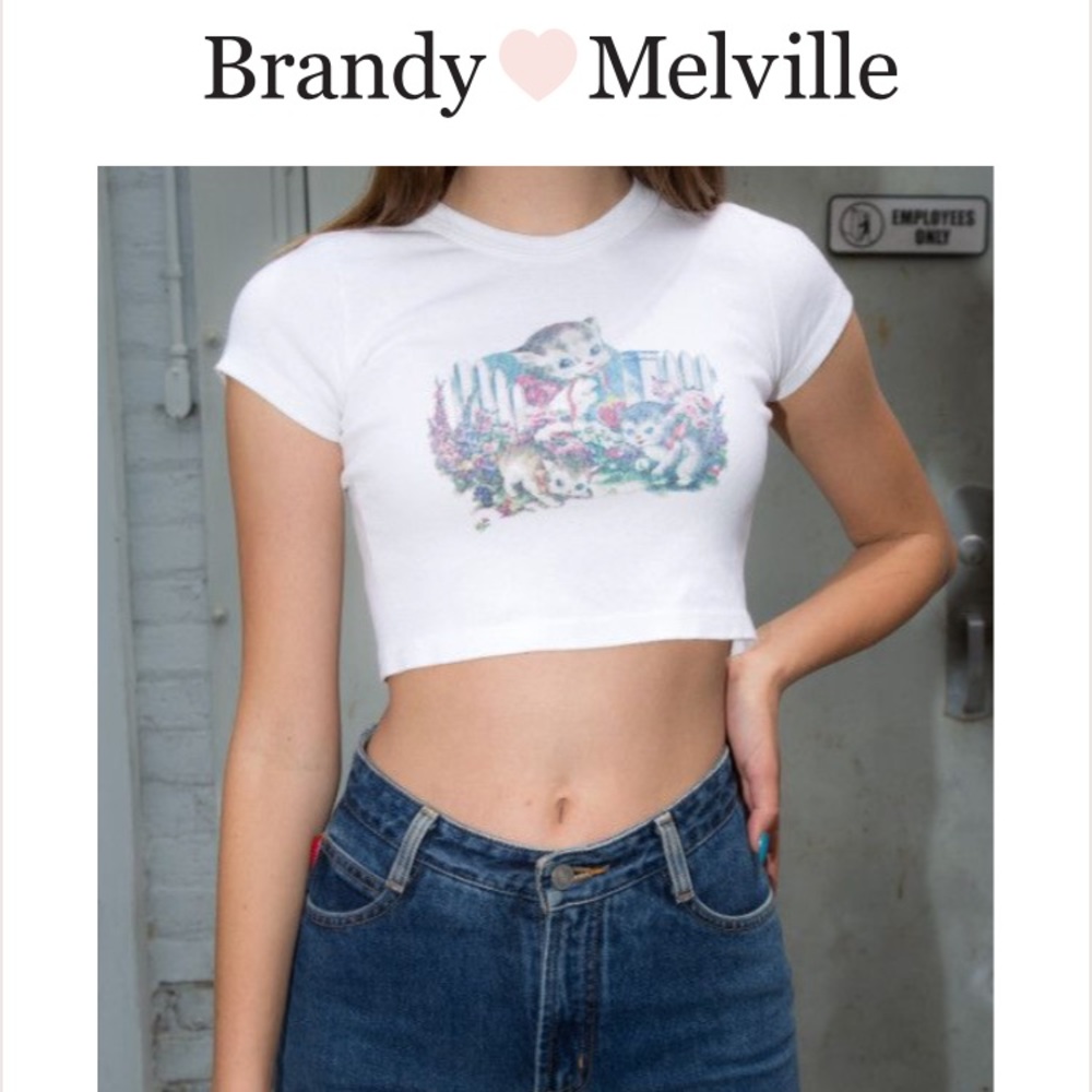 Brandy Melville Ashlyn Kittens Top